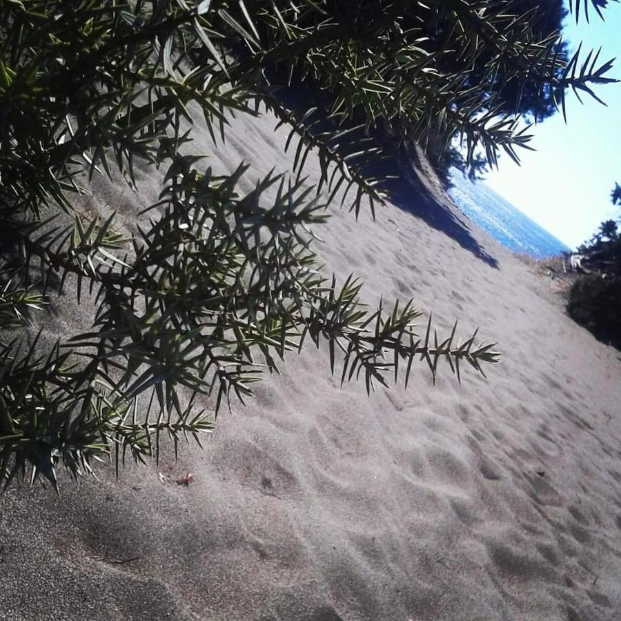Cedrus And Sea, Beachfront House, Gennadi, Rhodes Bagian luar foto