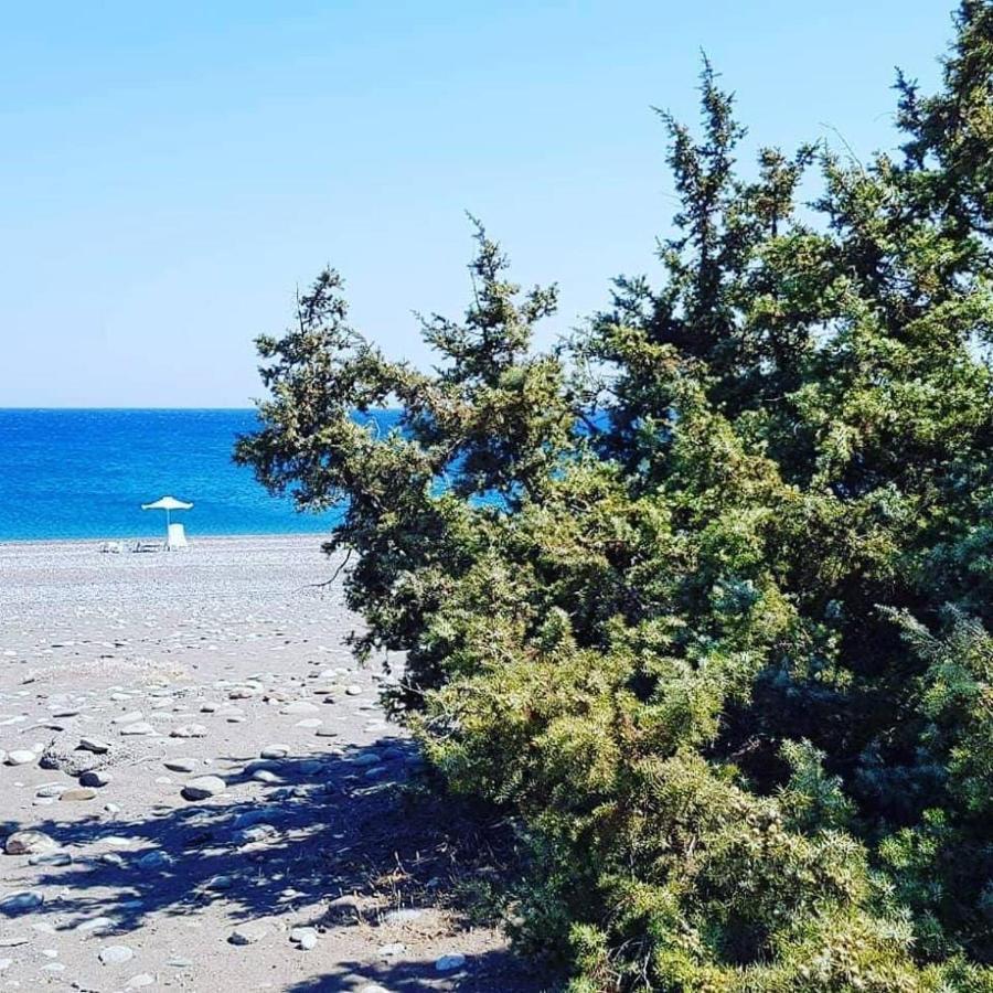 Cedrus And Sea, Beachfront House, Gennadi, Rhodes Bagian luar foto