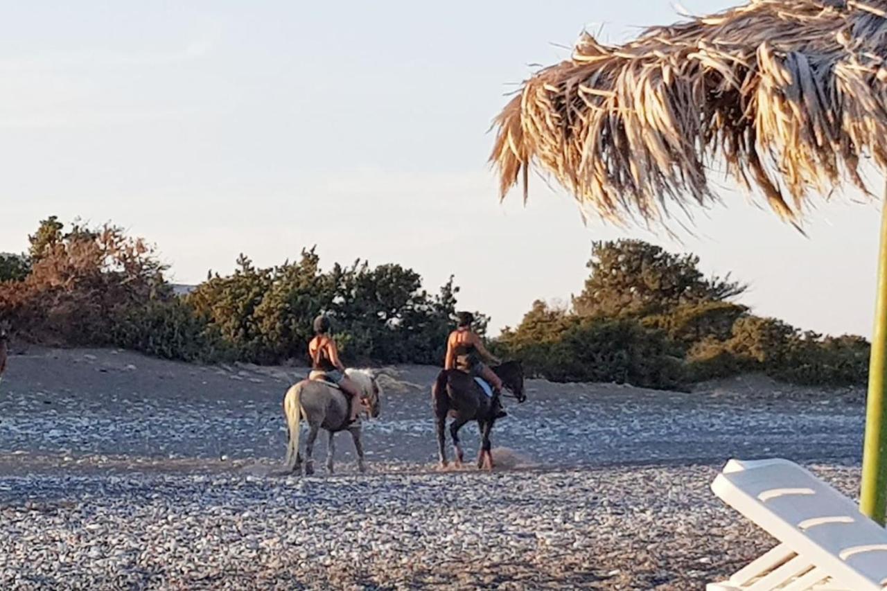 Cedrus And Sea, Beachfront House, Gennadi, Rhodes Bagian luar foto